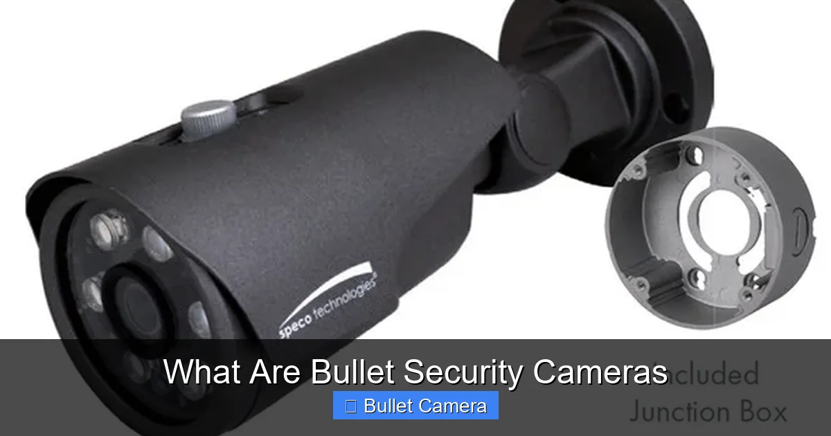 What Are Bullet Security Cameras