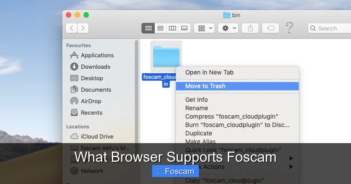 What Browser Supports Foscam