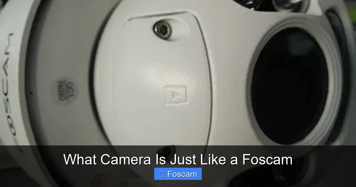 What Camera Is Just Like a Foscam