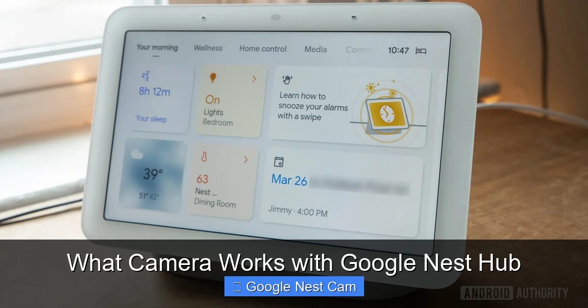 What Camera Works with Google Nest Hub