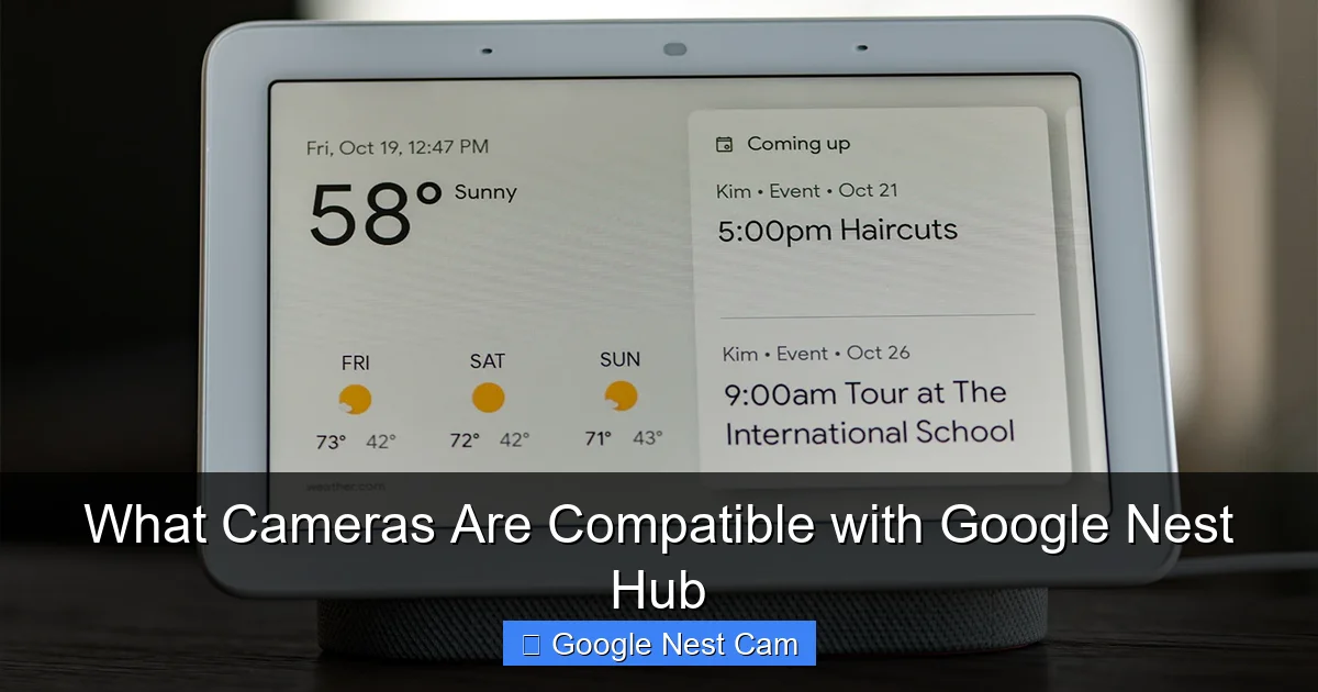 What Cameras Are Compatible with Google Nest Hub