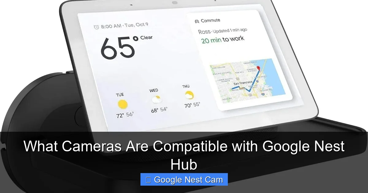 What Cameras Are Compatible with Google Nest Hub