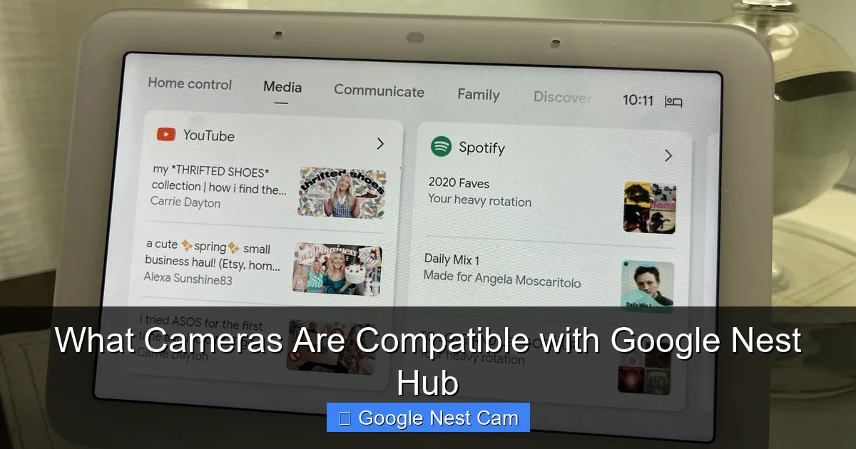 What Cameras Are Compatible with Google Nest Hub