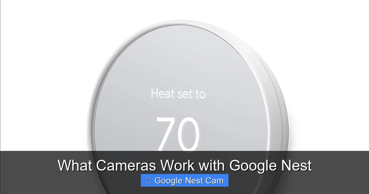 What Cameras Work with Google Nest