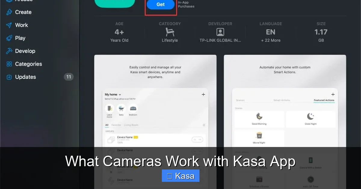What Cameras Work with Kasa App