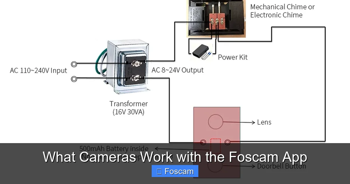 What Cameras Work with the Foscam App