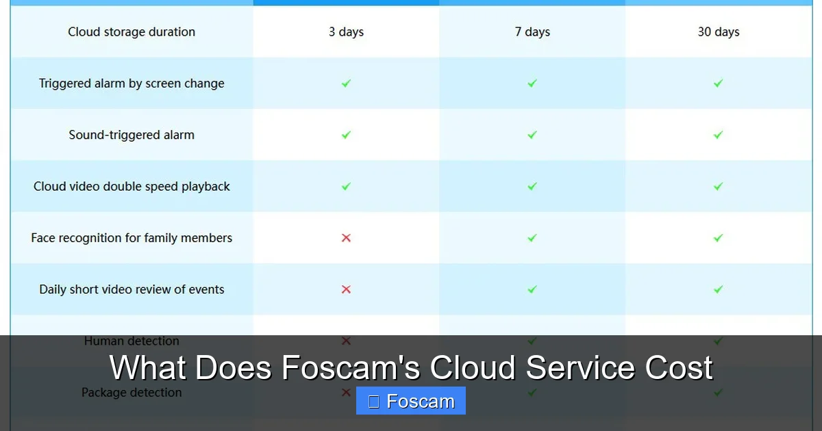 What Does Foscam's Cloud Service Cost