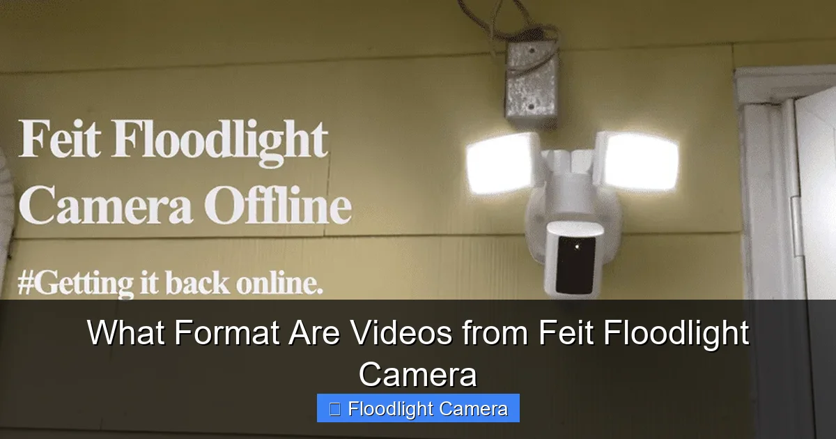 What Format Are Videos from Feit Floodlight Camera