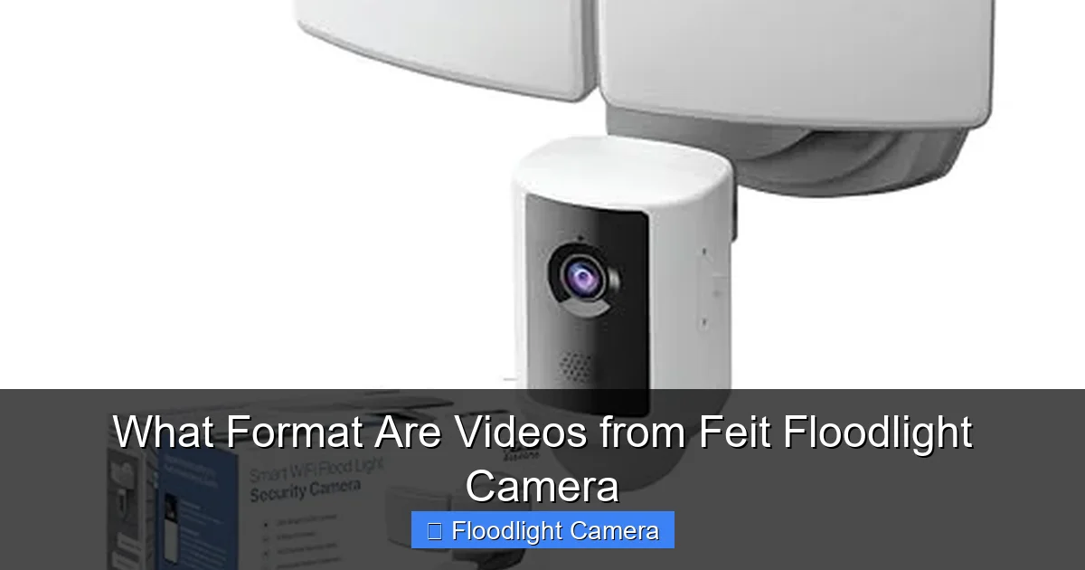 What Format Are Videos from Feit Floodlight Camera