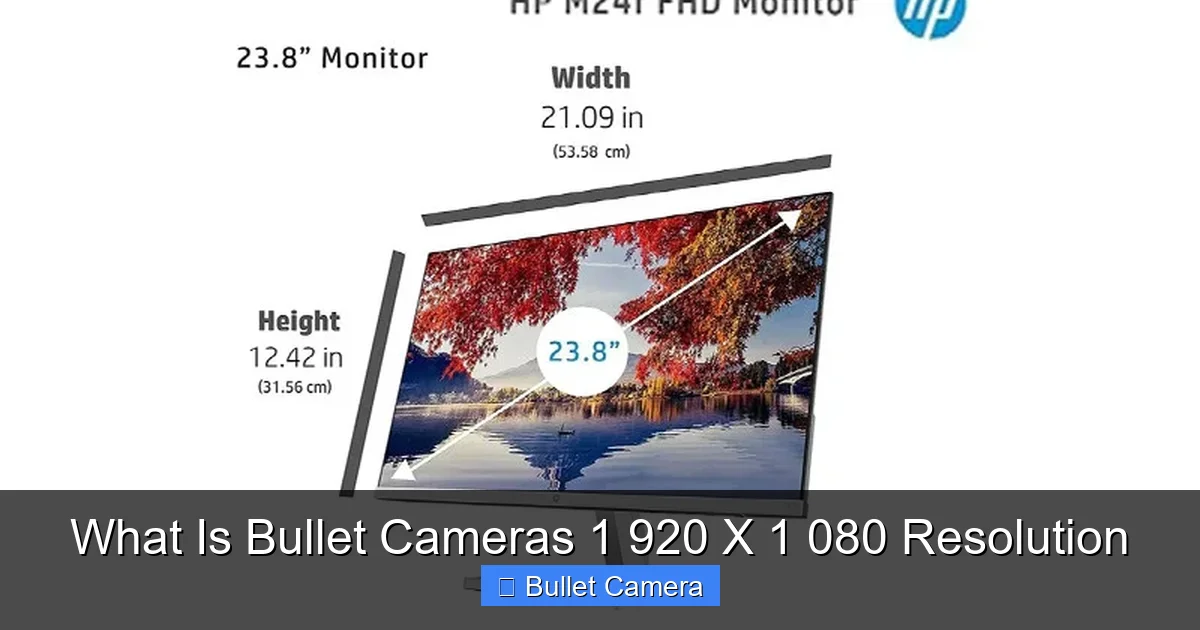 What Is Bullet Cameras 1 920 X 1 080 Resolution