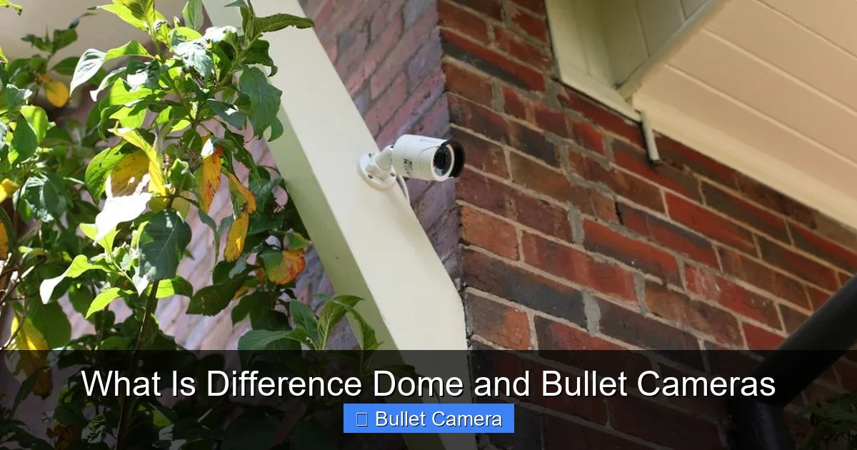What Is Difference Dome and Bullet Cameras