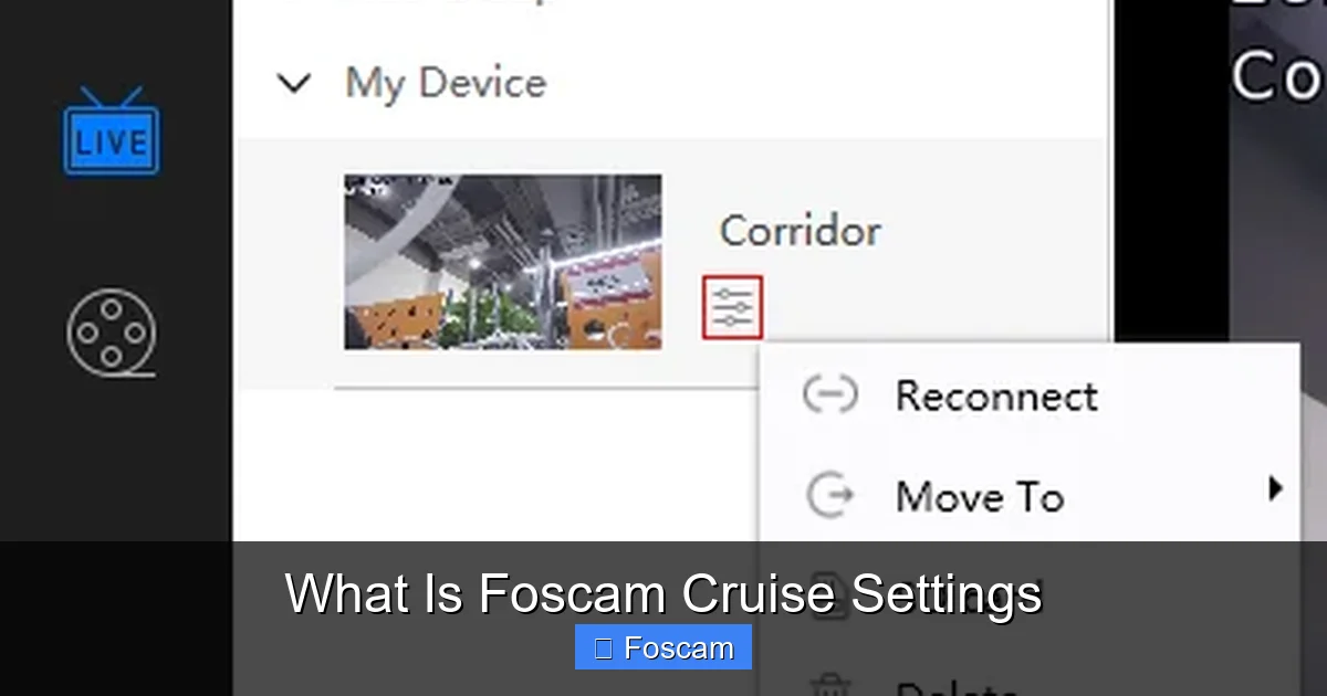 What Is Foscam Cruise Settings