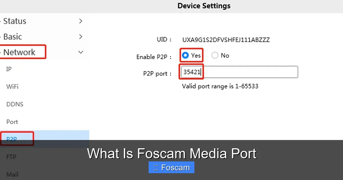 What Is Foscam Media Port