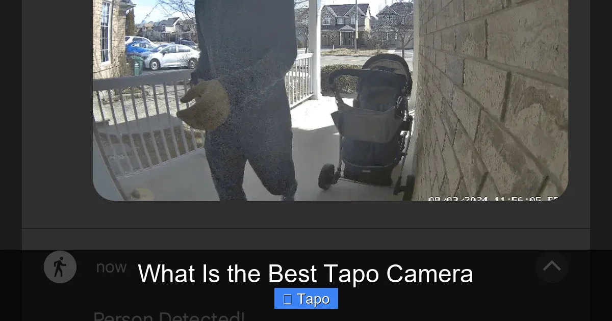 What Is the Best Tapo Camera