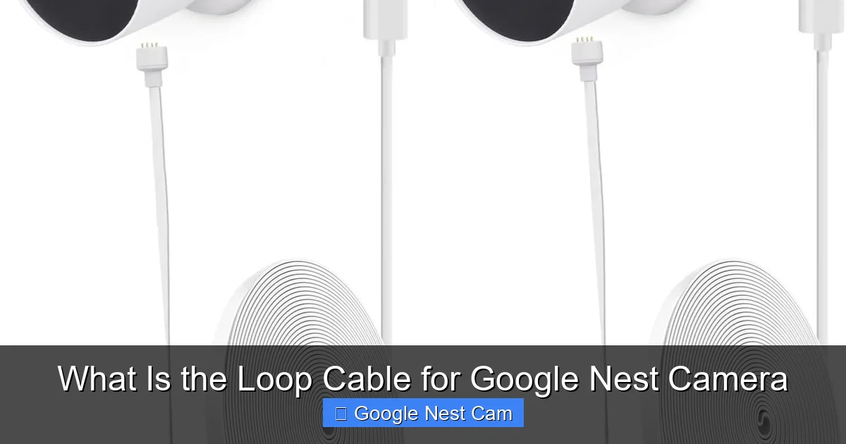 What Is the Loop Cable for Google Nest Camera