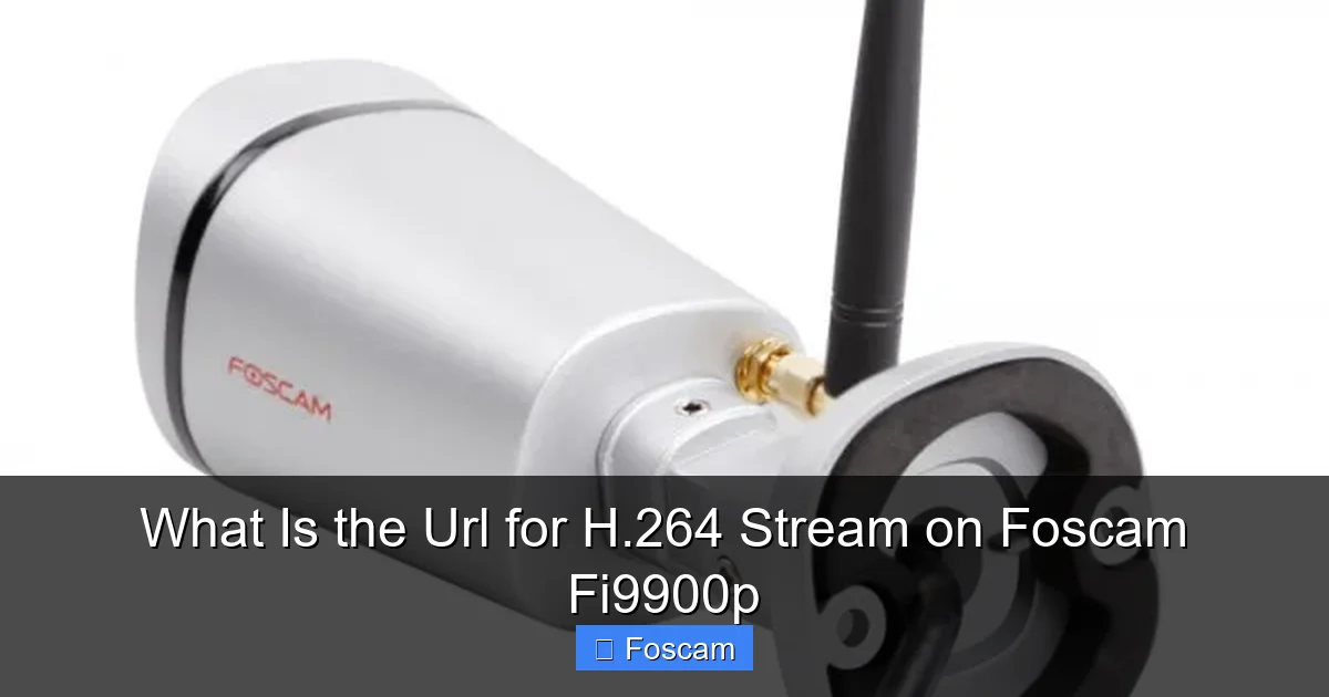 What Is the Url for H.264 Stream on Foscam Fi9900p