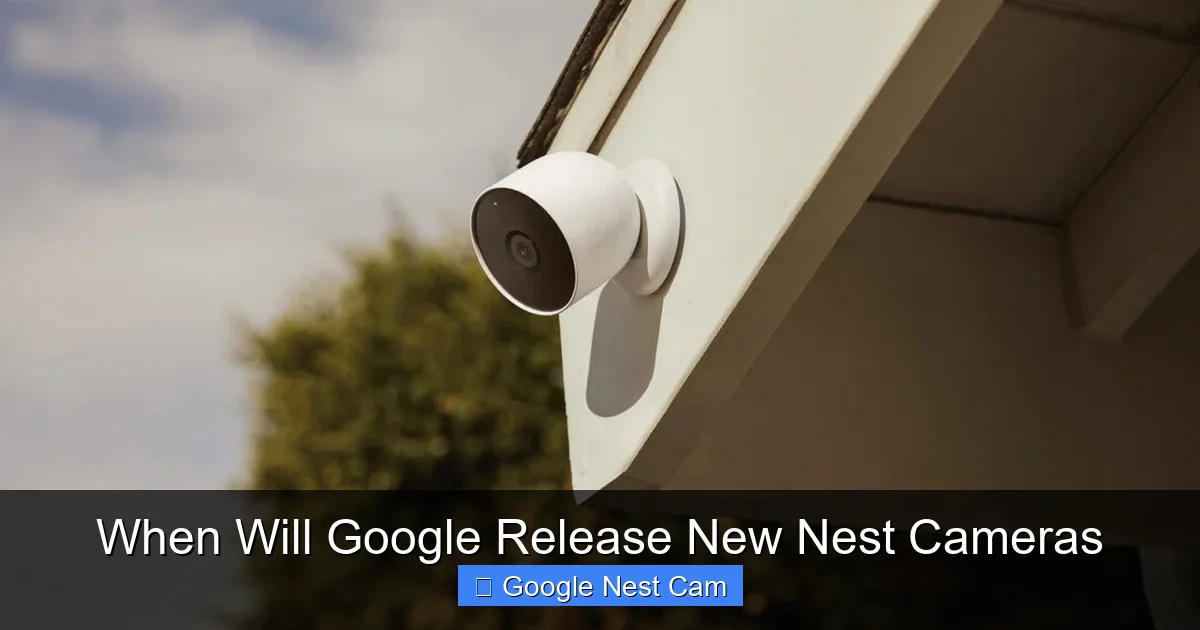 When Will Google Release New Nest Cameras