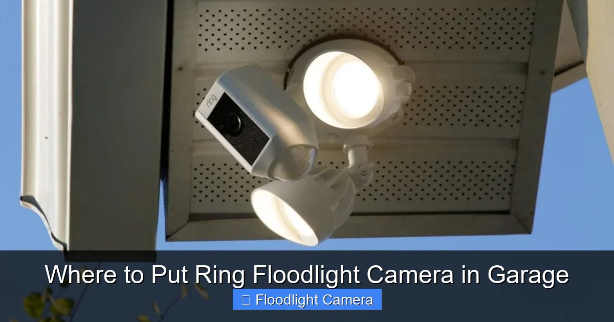 Where to Put Ring Floodlight Camera in Garage