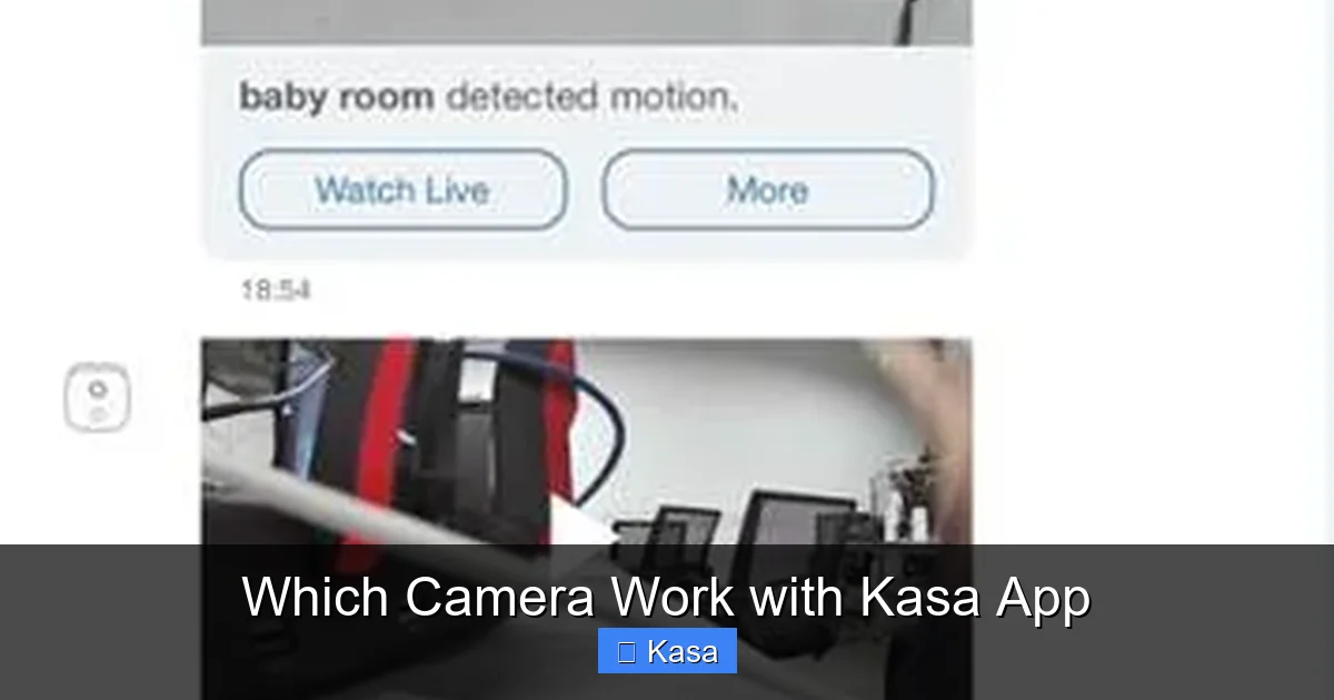 Which Camera Work with Kasa App