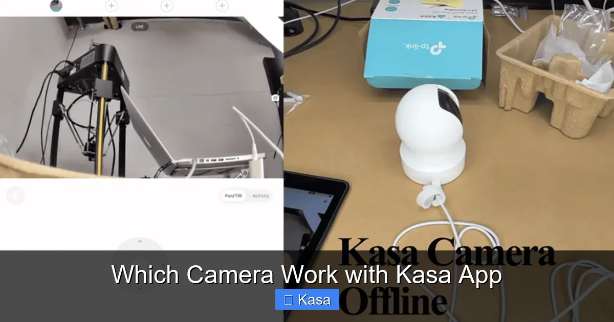 Which Camera Work with Kasa App