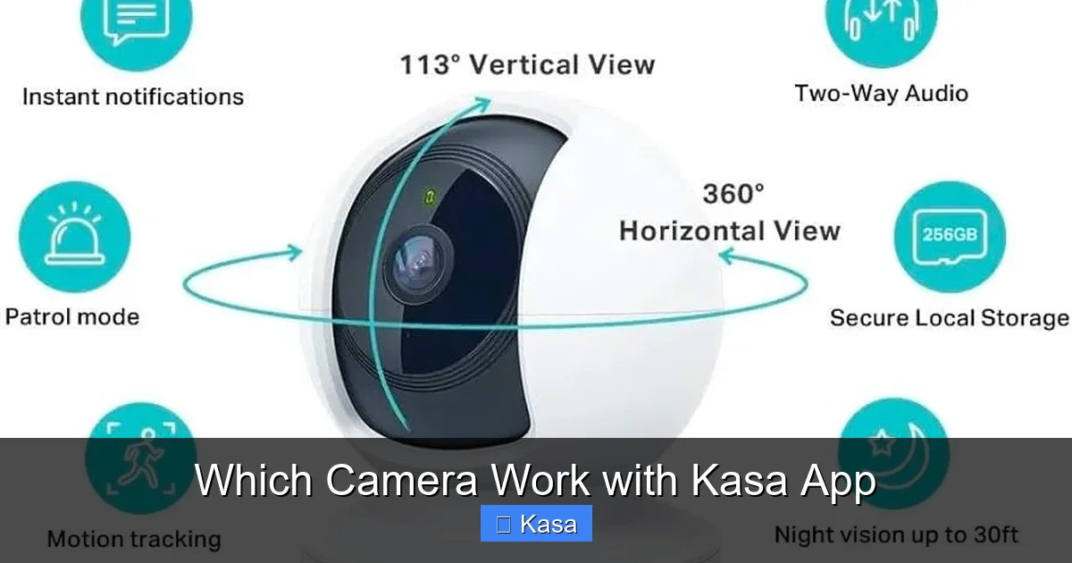Which Camera Work with Kasa App