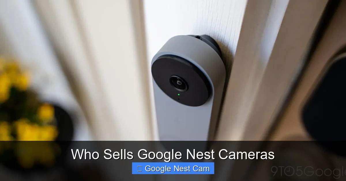 Who Sells Google Nest Cameras