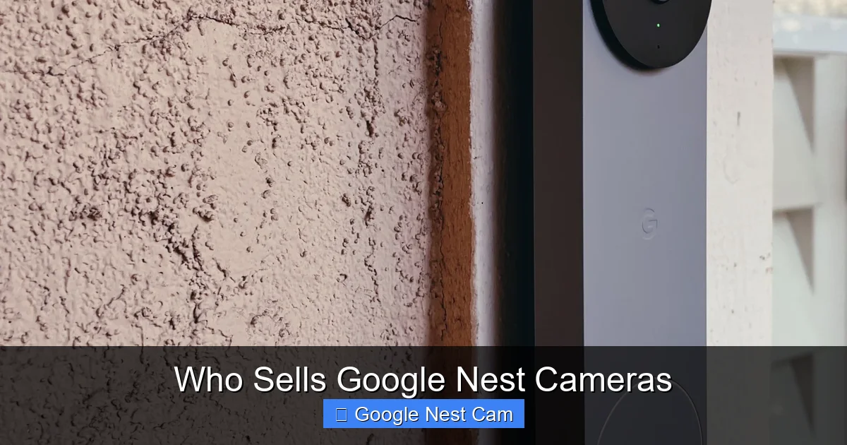 Who Sells Google Nest Cameras