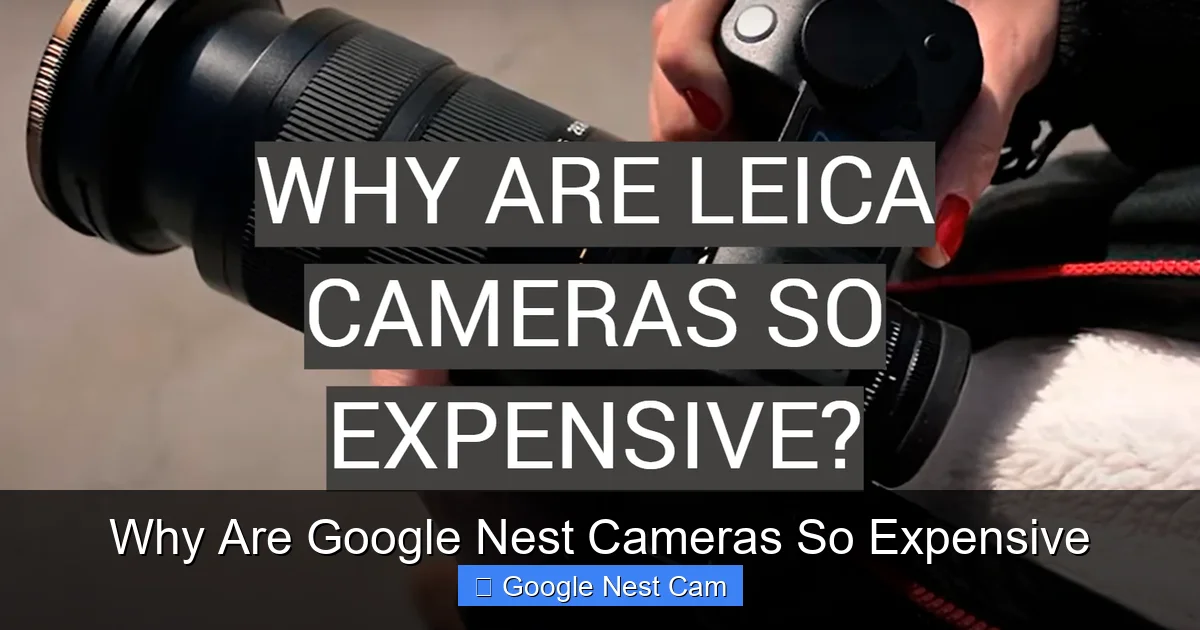 Why Are Google Nest Cameras So Expensive