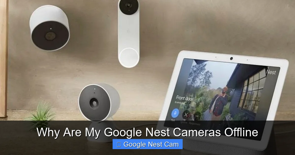 Why Are My Google Nest Cameras Offline