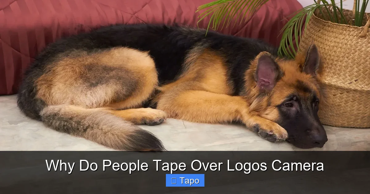 Why Do People Tape Over Logos Camera