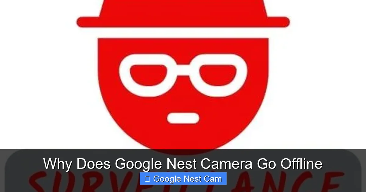Why Does Google Nest Camera Go Offline