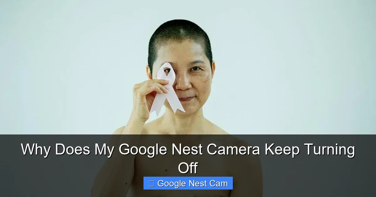 Why Does My Google Nest Camera Keep Turning Off