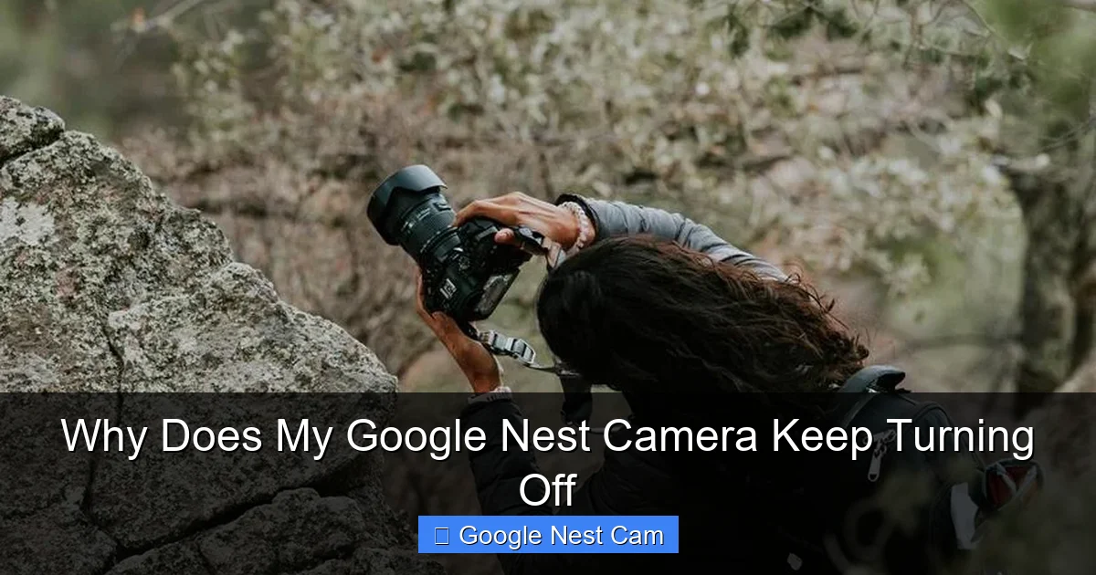 Why Does My Google Nest Camera Keep Turning Off