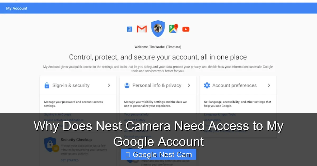 Why Does Nest Camera Need Access to My Google Account