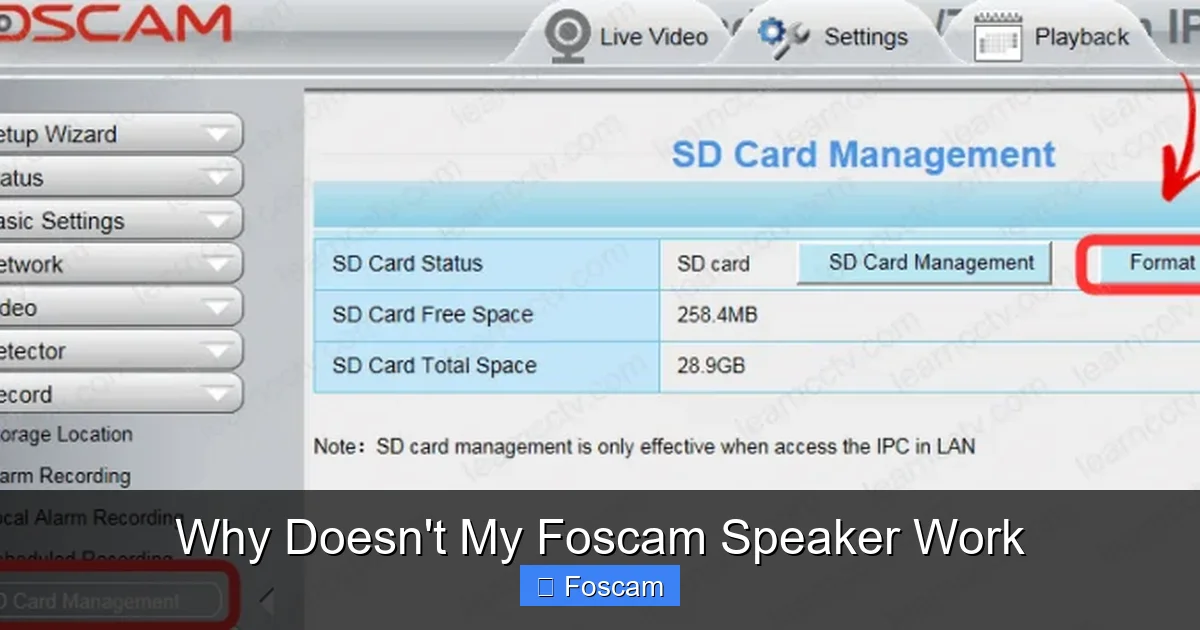 Why Doesn't My Foscam Speaker Work