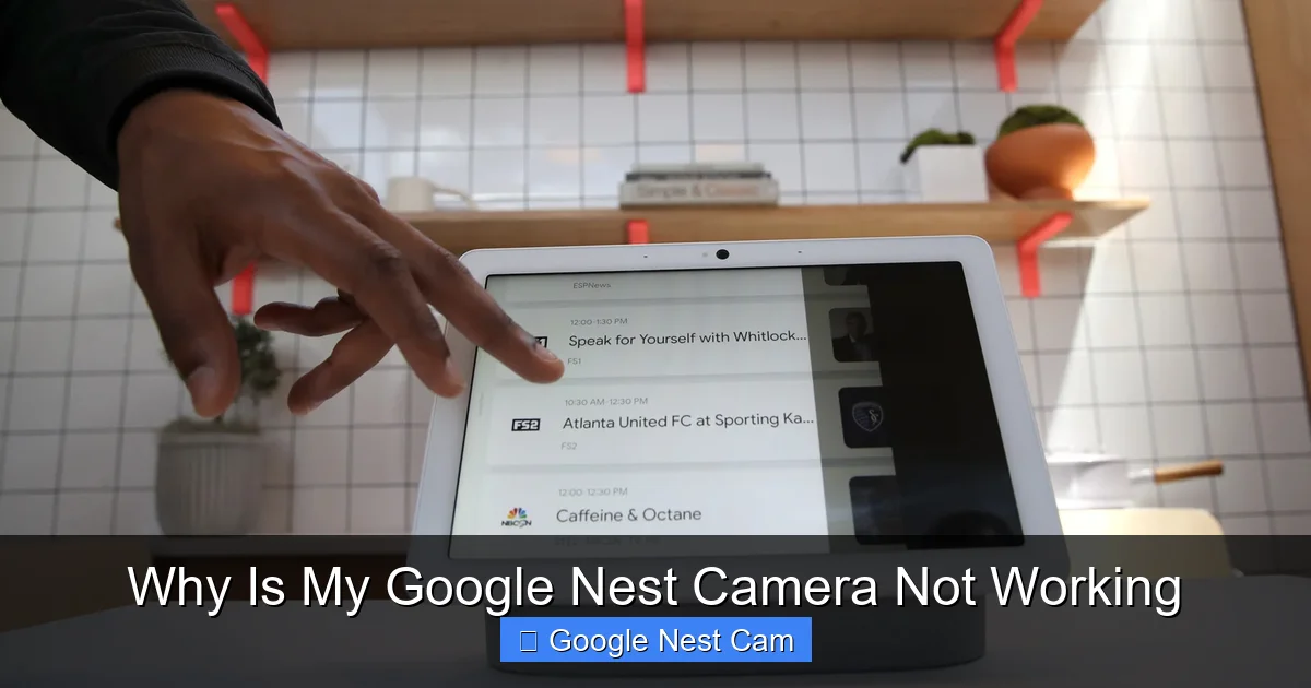Why Is My Google Nest Camera Not Working