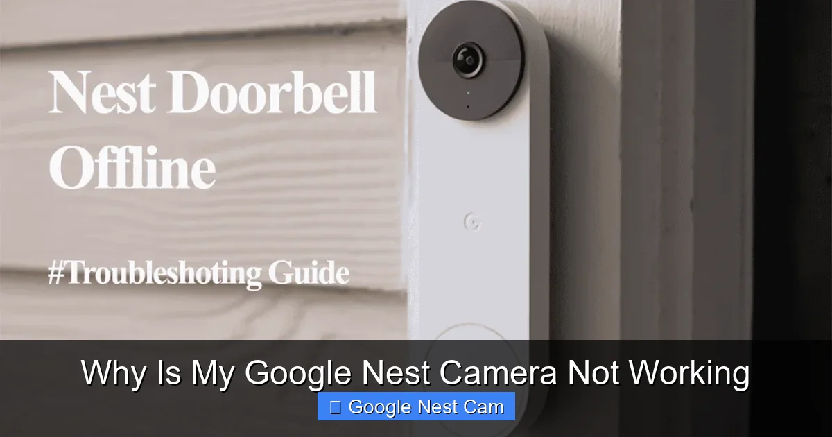 Why Is My Google Nest Camera Not Working
