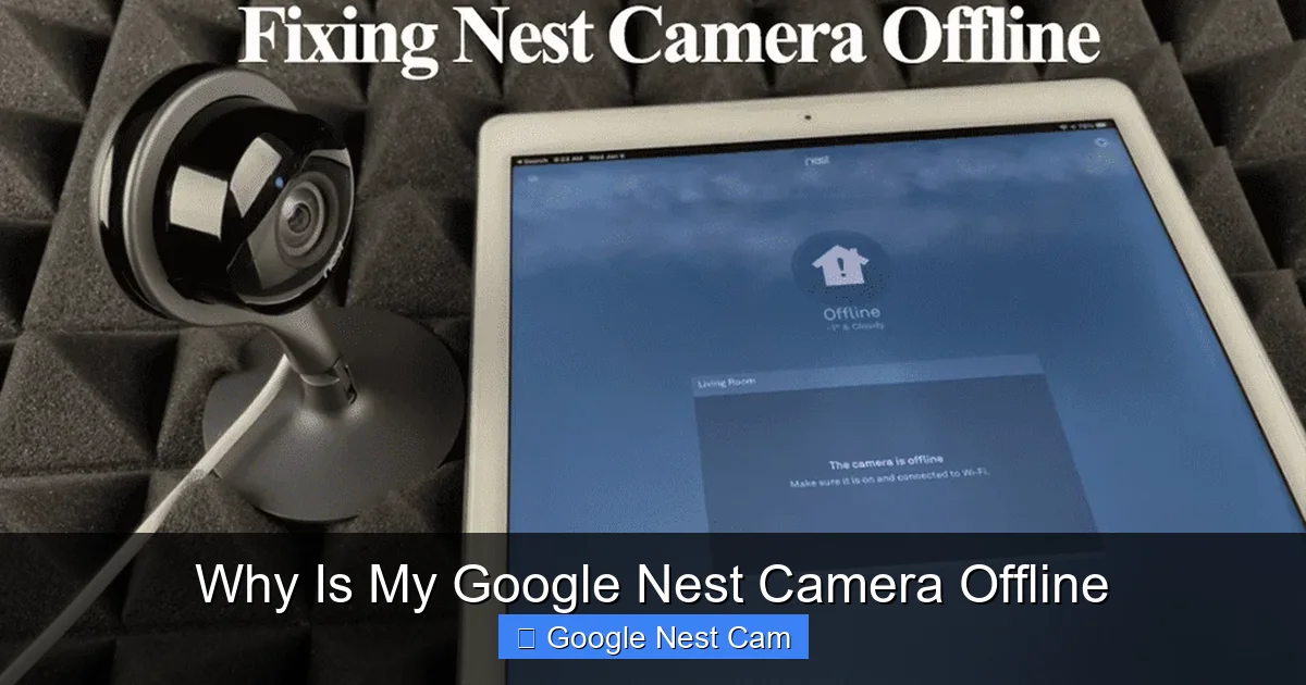 Why Is My Google Nest Camera Offline