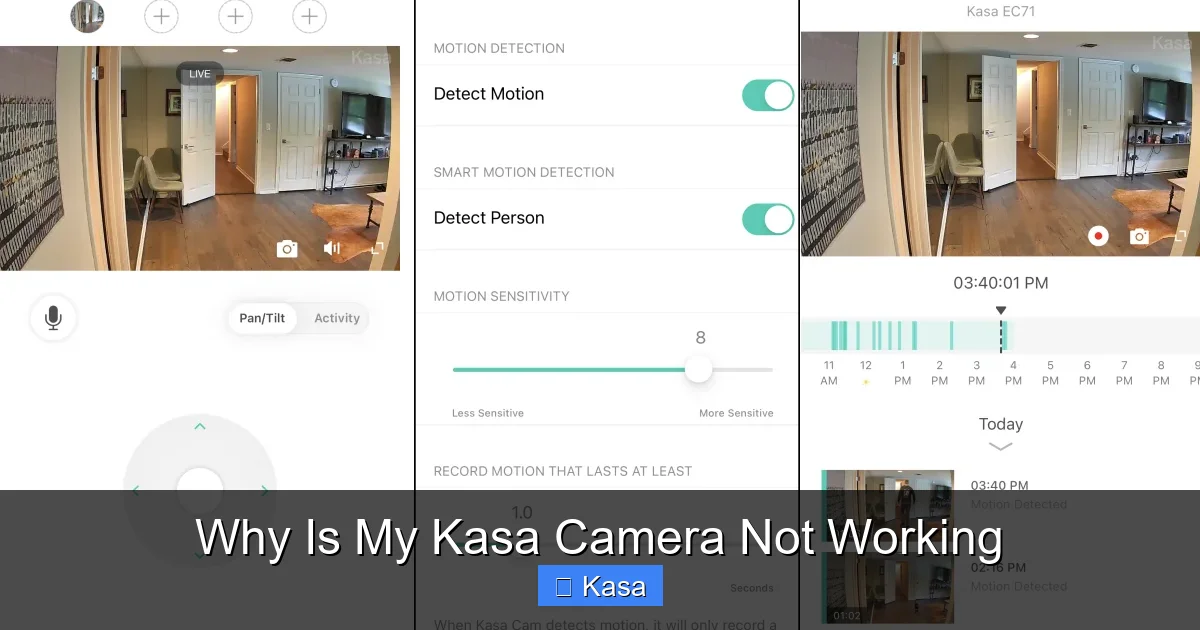 Why Is My Kasa Camera Not Working