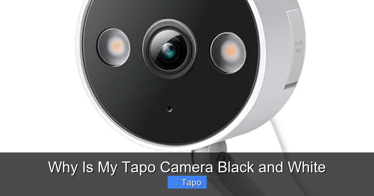 Why Is My Tapo Camera Black and White