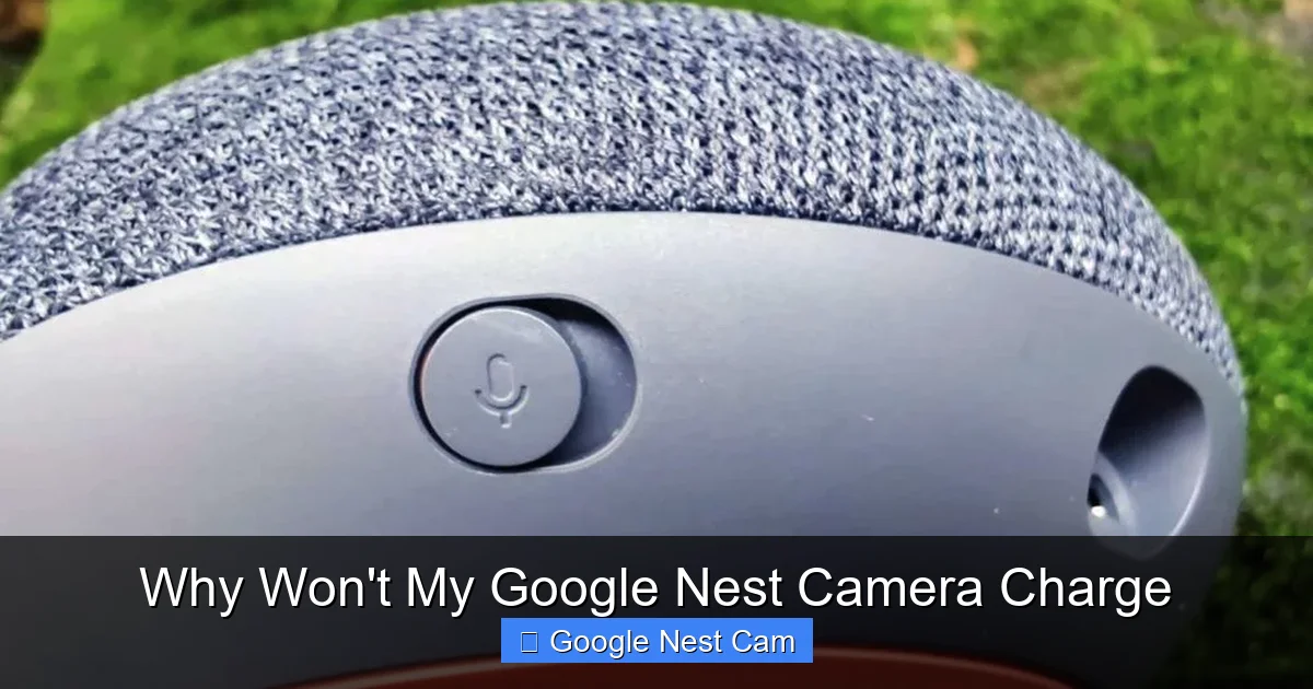 Why Won't My Google Nest Camera Charge