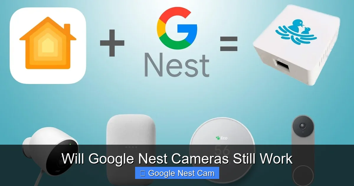 Will Google Nest Cameras Still Work