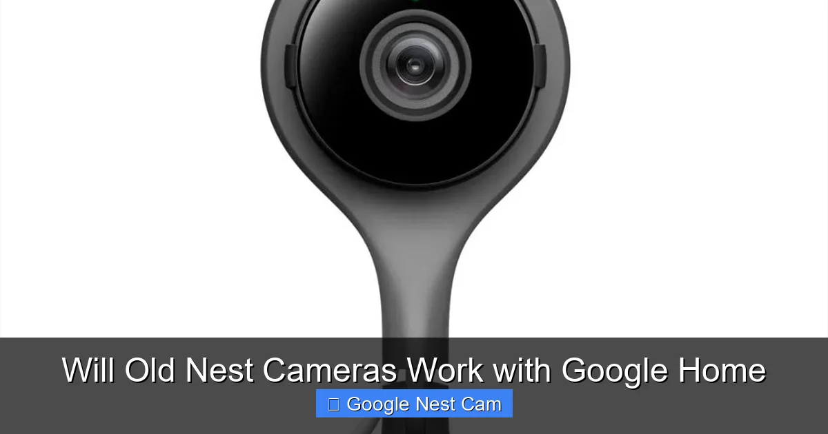 Will Old Nest Cameras Work with Google Home