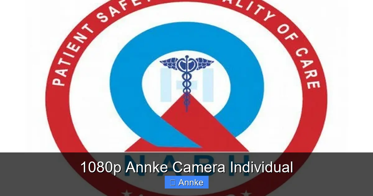 1080p Annke Camera Individual