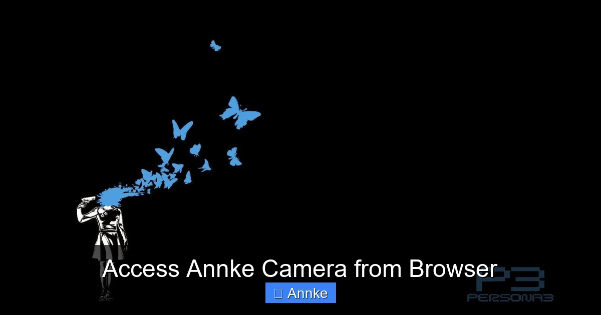 Access Annke Camera from Browser