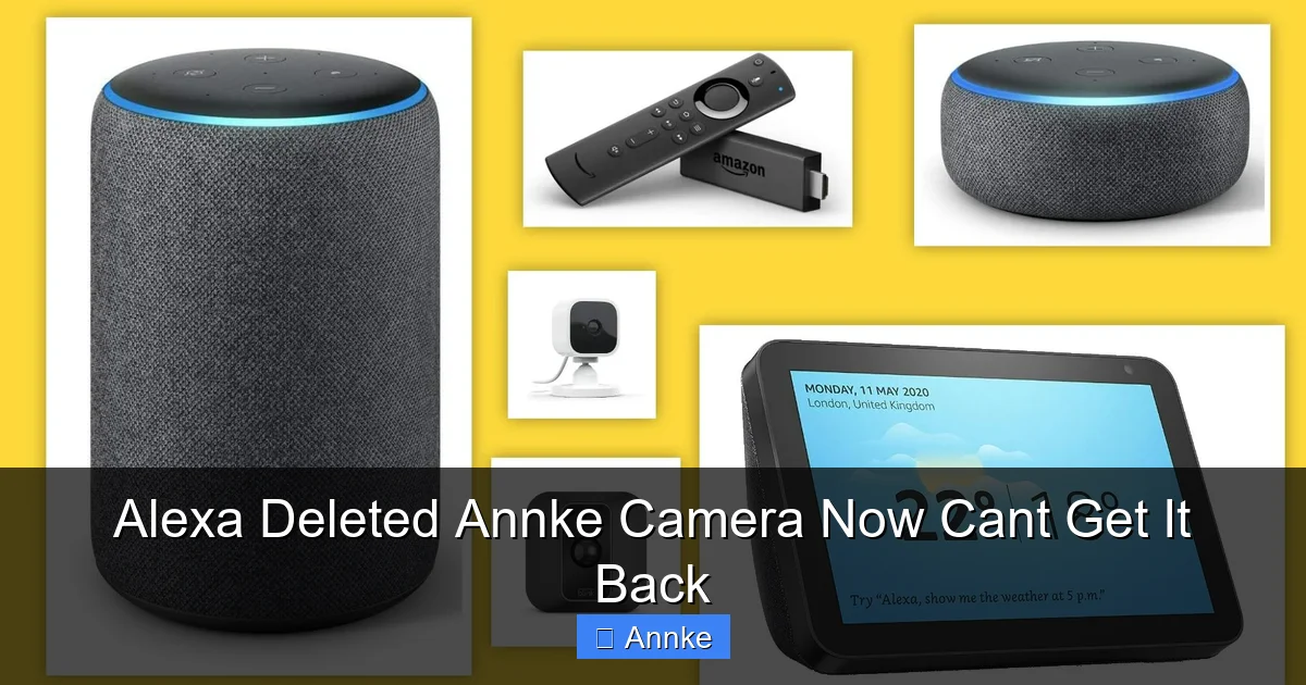 Alexa Deleted Annke Camera Now Cant Get It Back