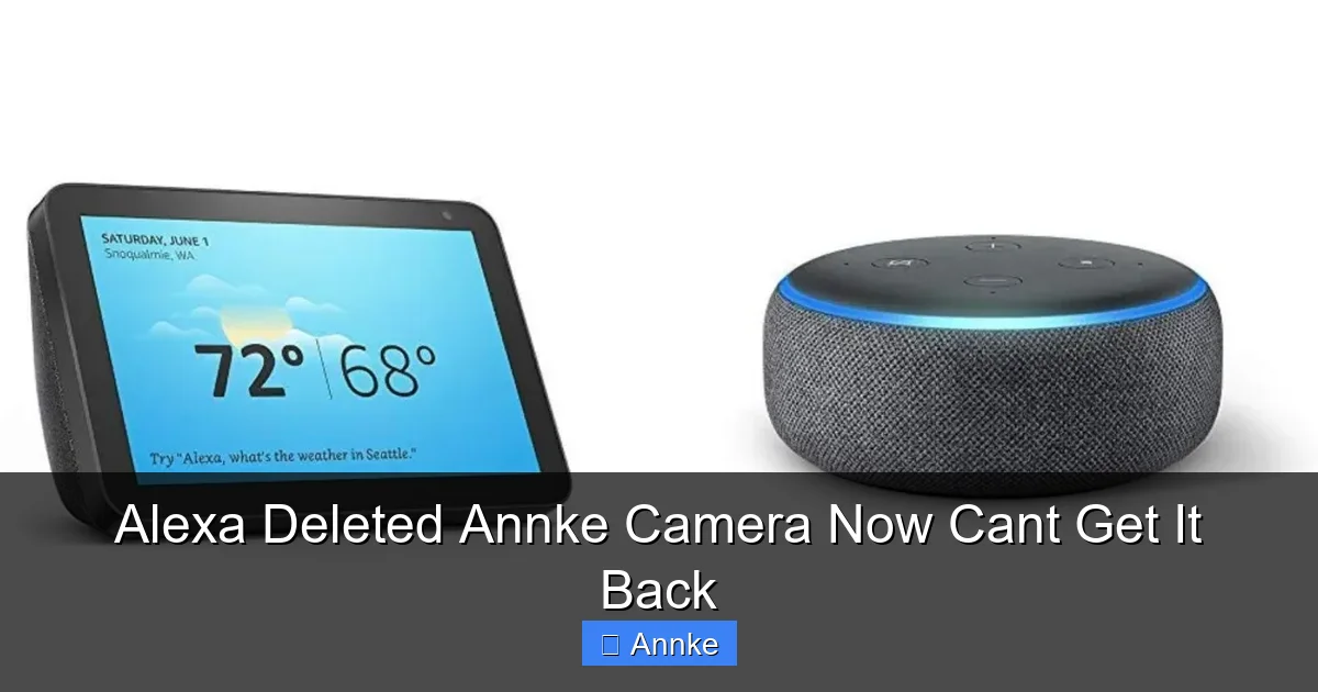 Alexa Deleted Annke Camera Now Cant Get It Back