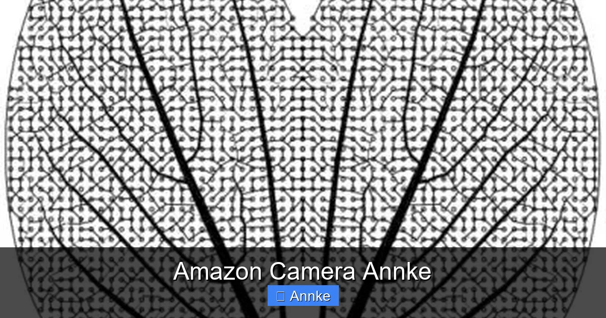 Amazon Camera Annke