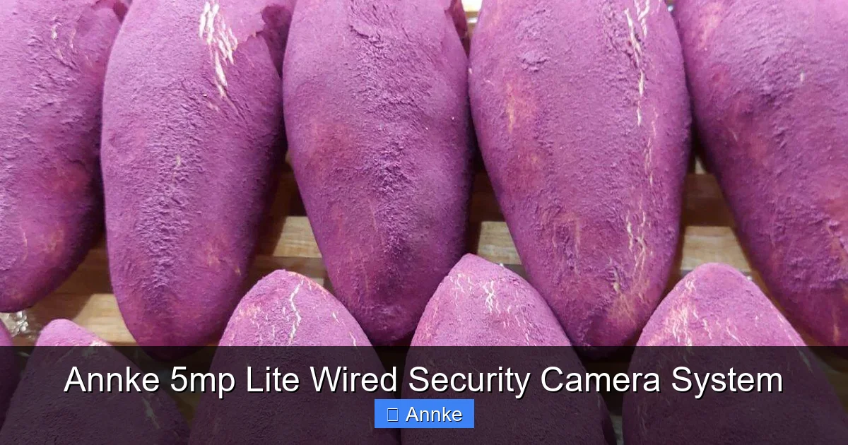 Annke 5mp Lite Wired Security Camera System
