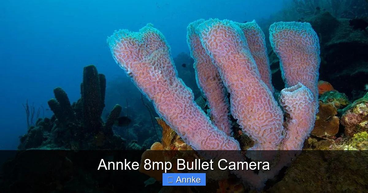 Annke 8mp Bullet Camera